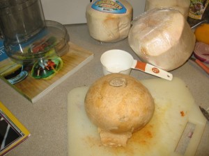 Matthew Kenney Project 071