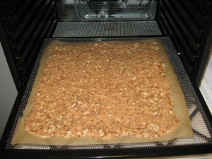 Matthew Kenney Project 125