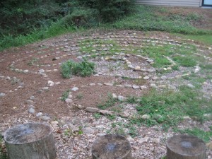 Matthew Kenney Project 156