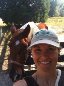 horse1