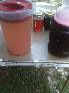 Sumac-ade and Wild Grape Juice
